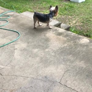 Meet your Posher, Doris